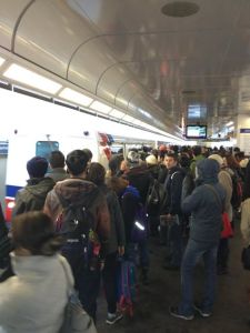 481500_10152328264655427_2025846191_n